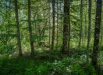 DSC00645