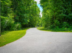 DSC00528