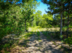 DSC00238