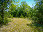 DSC00239