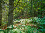 DSC00748