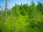 DSC00749