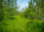 DSC00750