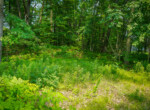 DSC00809