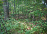 DSC00812