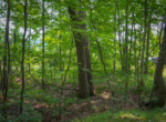 DSC00816