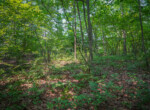 DSC00817