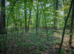 DSC00819