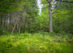 DSC00959