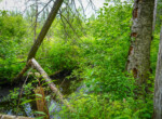 DSC00968