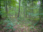 DSC01122