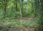 DSC01123