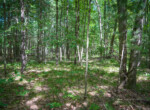 DSC01125