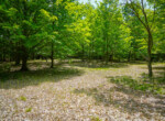 DSC01097