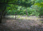 DSC01098