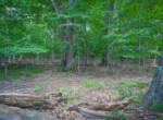 DSC01108
