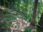 DSC01048