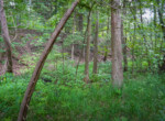 DSC01056