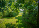 DSC01192