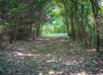 DSC01194