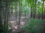 DSC01195