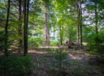 DSC01196