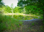 DSC01216