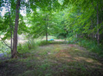 DSC01217