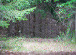 DSC01272