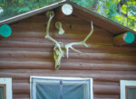 DSC01378