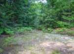 DSC01383