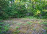 DSC01384