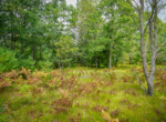 DSC01516