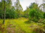 DSC01520