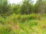 Houghton lake-16