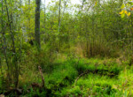 Houghton lake-32