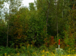 Houghton lake-05