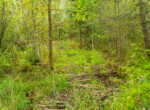 Houghton lake-06