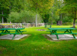 DSC01646